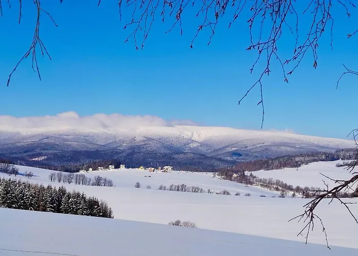 Hluchá Sova *
